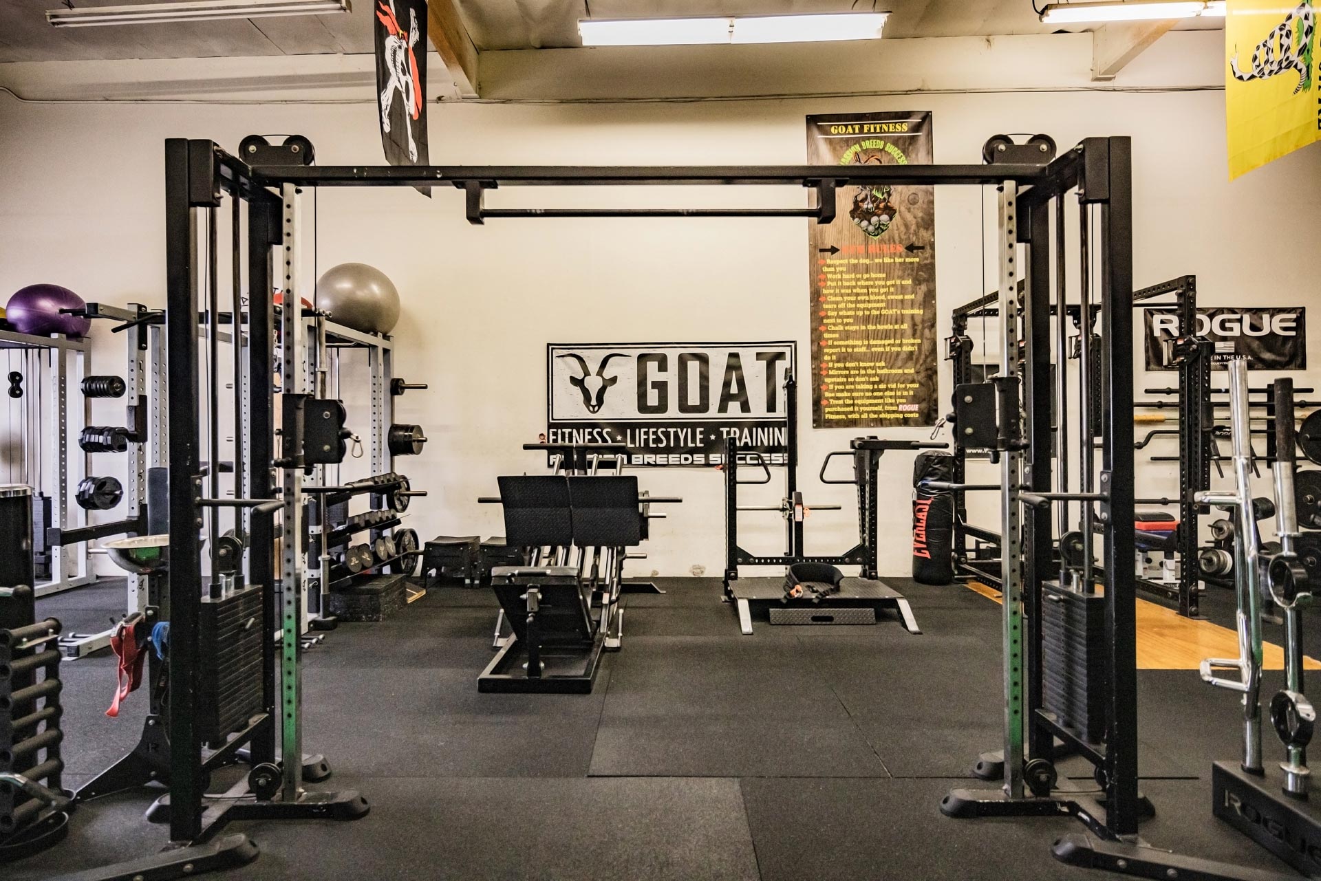 Muscle Growth