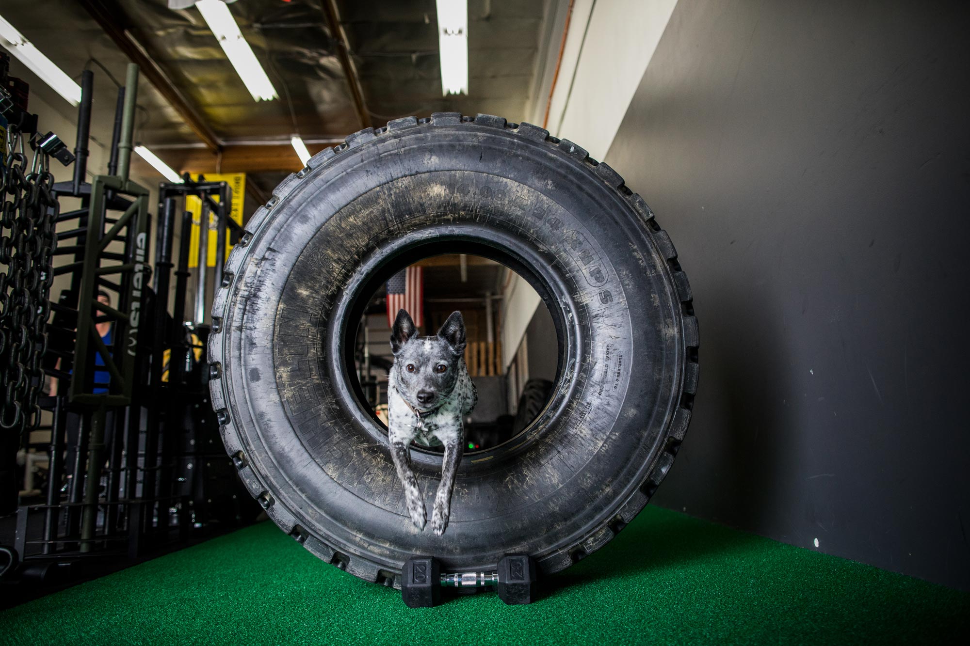 Weight Training