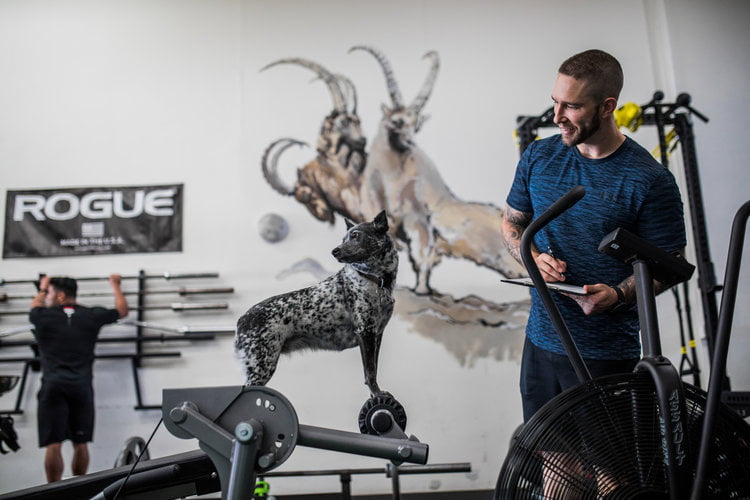 Weight Training - GOAT Fitness -Santa Ana, CA